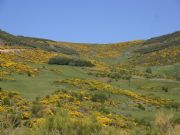 LA VEGA